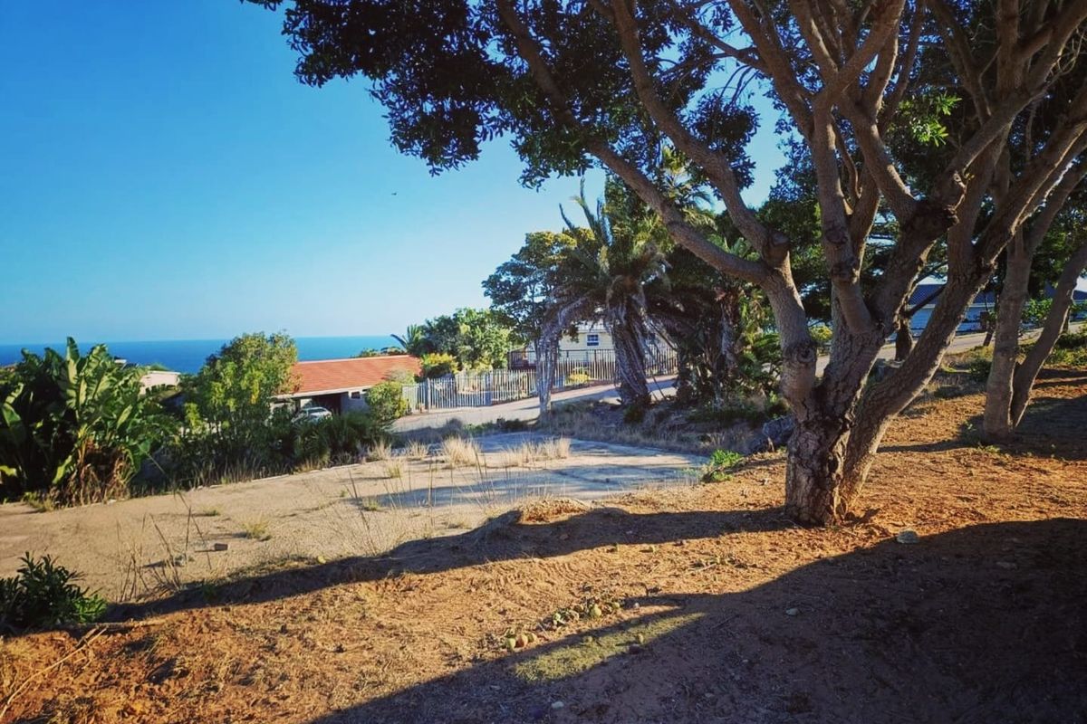 A scenic view of the coastal landscape from the vacant residential property, featuring mature trees and an existing paved driveway area.