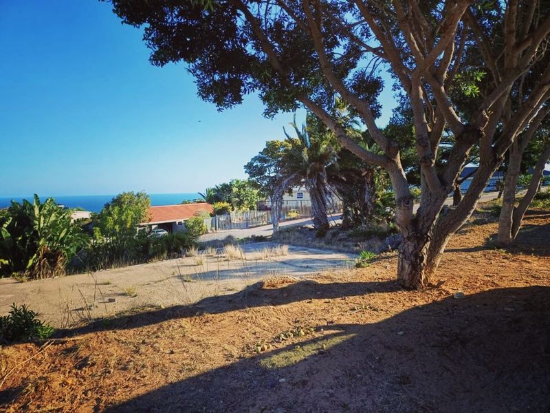 A scenic view of the coastal landscape from the vacant residential property, featuring mature trees and an existing paved driveway area.