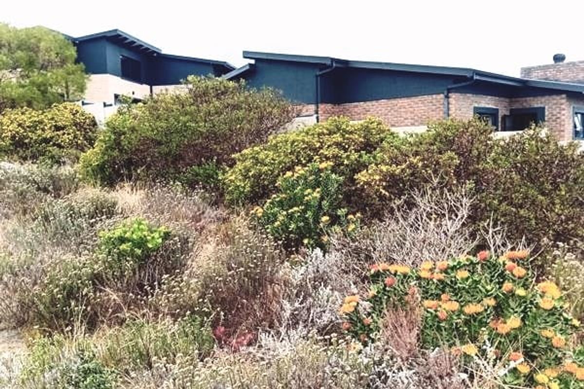 A view of the rear elevation of a residential property featuring brick construction and established native garden landscaping.