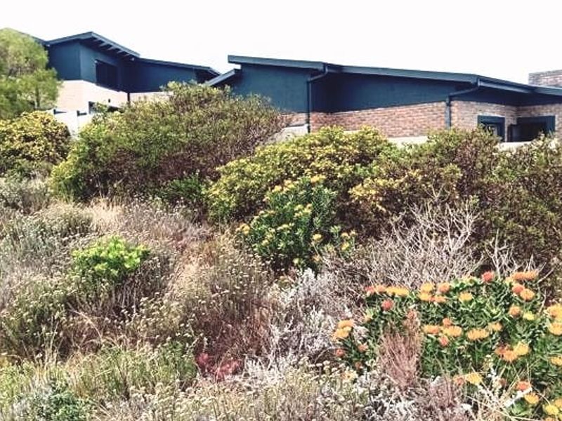 A view of the rear elevation of a residential property featuring brick construction and established native garden landscaping.