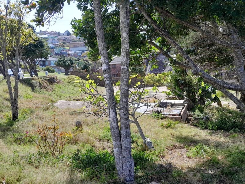 A view of a vacant residential plot featuring mature trees and an existing concrete slab foundation, set within a established neighborhood.