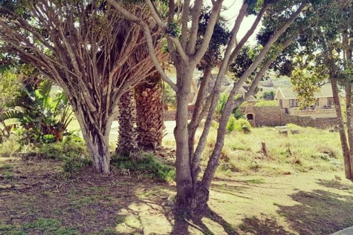 A view of a residential plot featuring mature trees and established vegetation, showcasing the natural landscape of the vacant land.