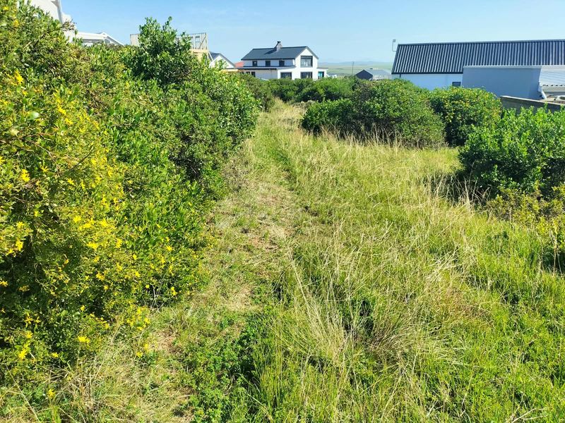 A view of a vacant residential plot featuring natural vegetation and grassland, with neighboring residential properties visible in the background.