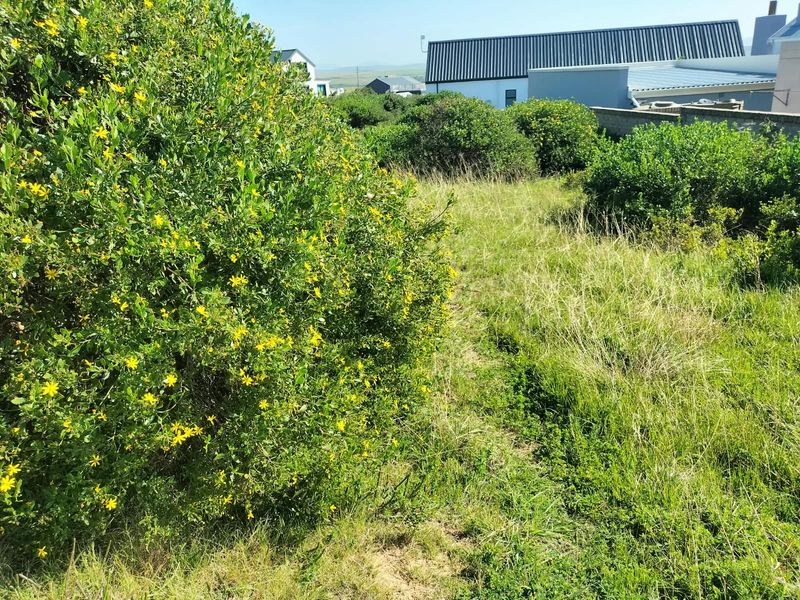 A view of a residential vacant plot featuring natural vegetation and a boundary wall in the background.