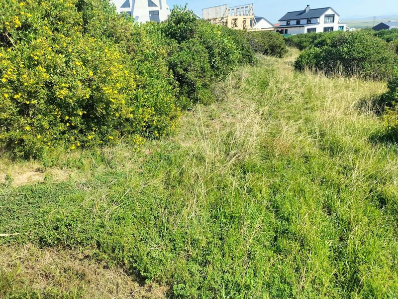 A view of the undeveloped residential land featuring natural vegetation and grasses, with neighboring properties visible in the background.