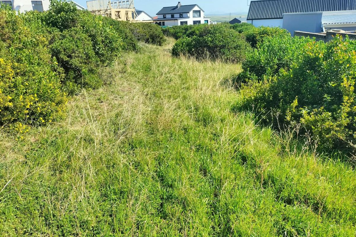 A view of the vacant residential land featuring natural vegetation and surrounding neighborhood properties.