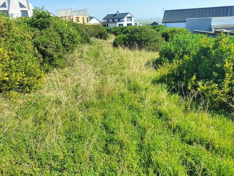 A view of the vacant residential land featuring natural vegetation and surrounding neighborhood properties.