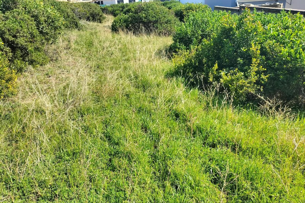 A view of a vacant residential plot featuring natural vegetation and surrounding boundary walls in a developed neighborhood.