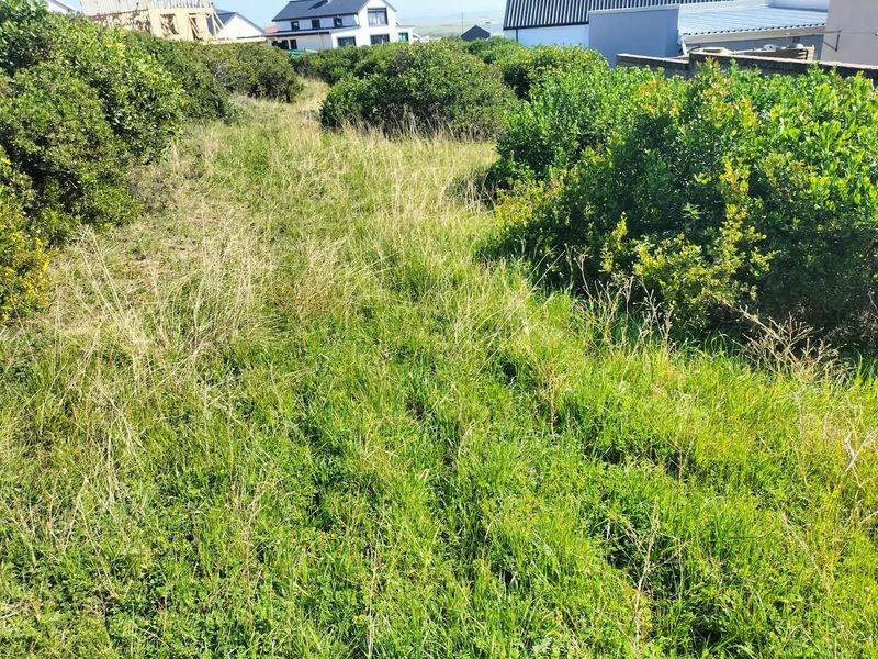 A view of a vacant residential plot featuring natural vegetation and surrounding boundary walls in a developed neighborhood.