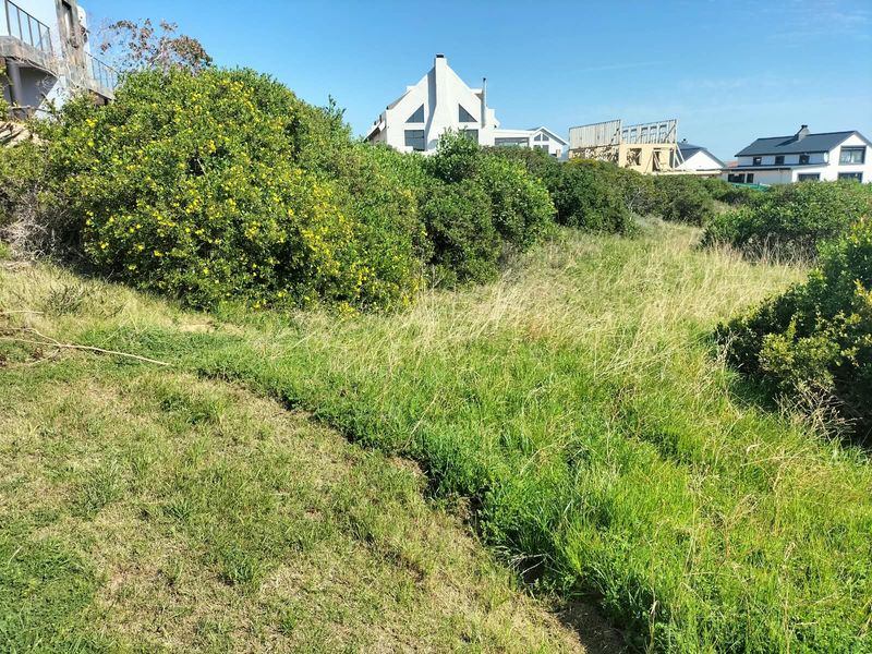 A view of a vacant residential plot featuring natural indigenous vegetation and a gentle slope, situated in a developed neighborhood.
