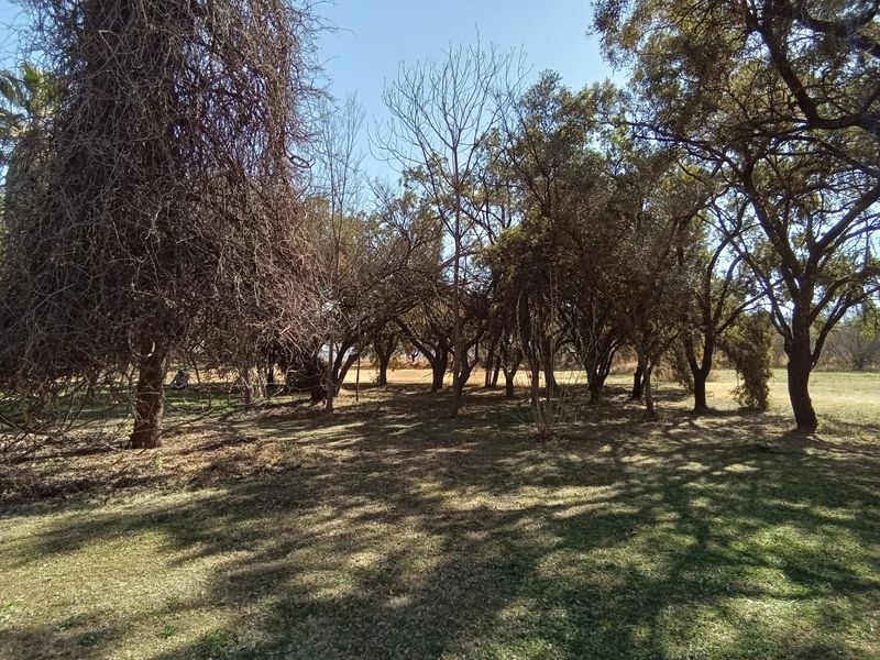 A spacious outdoor garden area featuring mature trees and established lawn, providing a natural and shaded landscape setting on the farm property.