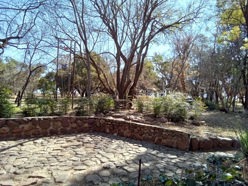 A rustic garden area featuring a stone retaining wall and natural cobblestone paving surrounded by mature trees.