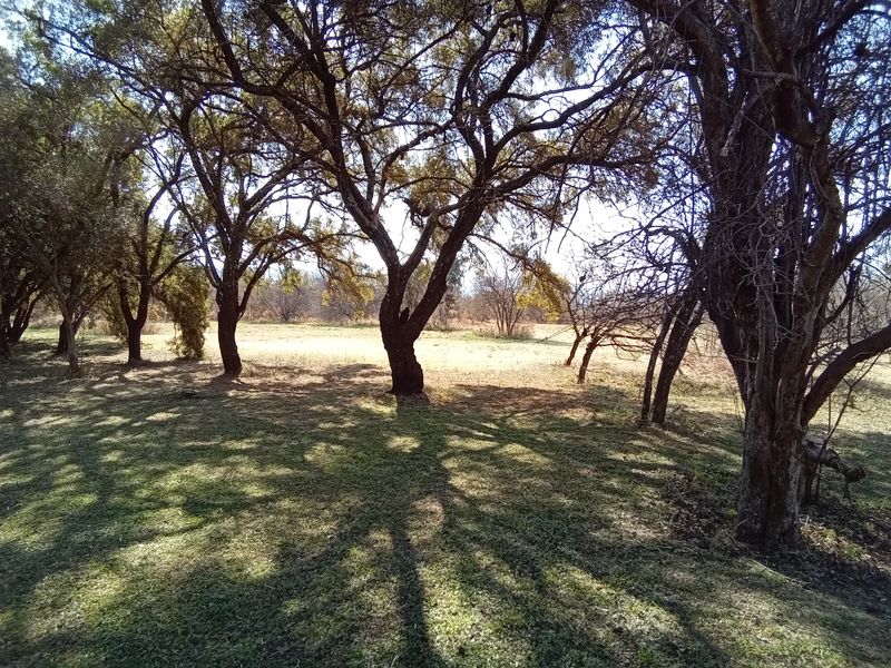 A view of the farm garden featuring mature trees and established lawn area.