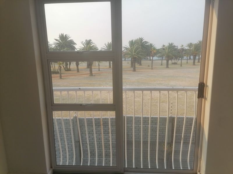 A view through a sliding door looking out onto a landscaped garden area with palm trees and a boundary wall.