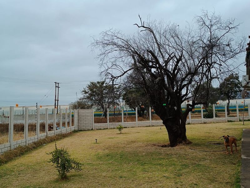 30+ Hectare Farm in Mooinooi - Photo 10