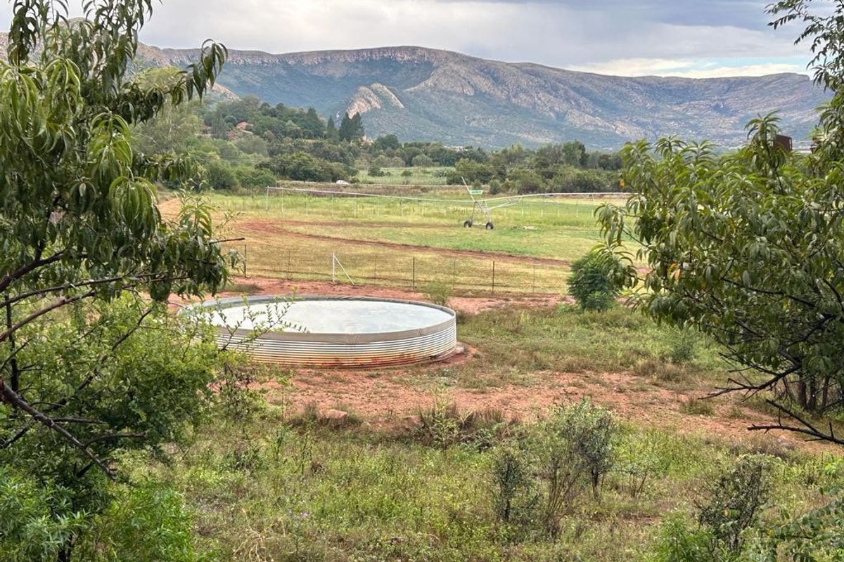 Smallholding with spectacular mountain views fo sale! - Photo 2