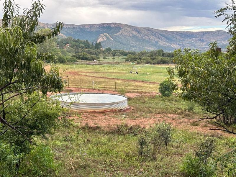 Smallholding with spectacular mountain views fo sale! - Photo 2