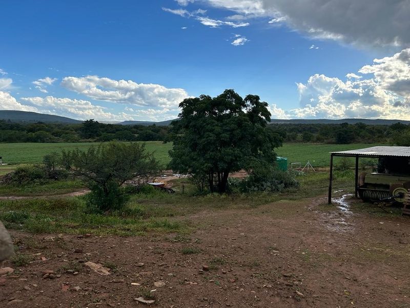 Smallholding with spectacular mountain views fo sale! - Photo 1