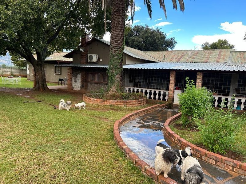 Smallholding with spectacular mountain views fo sale! - Photo 3