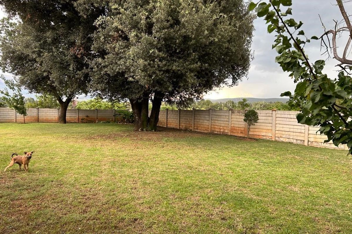 Smallholding with spectacular mountain views fo sale! - Photo 5