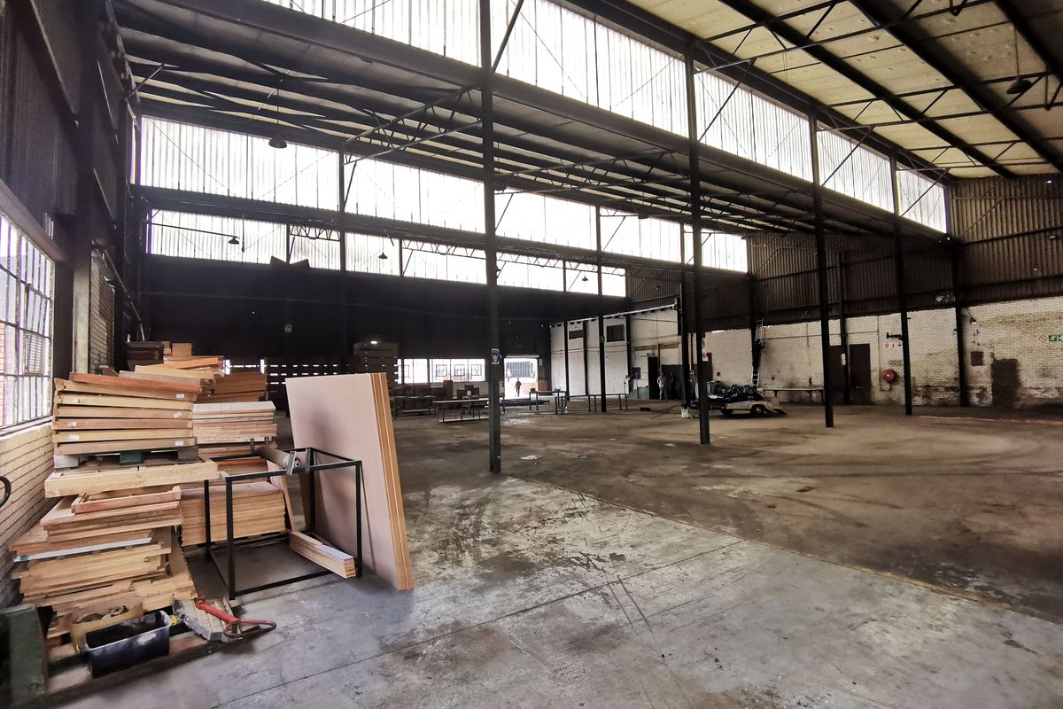 Exceptional Volume and Expansive Yard, Kew - Johannesburg - Photo 4