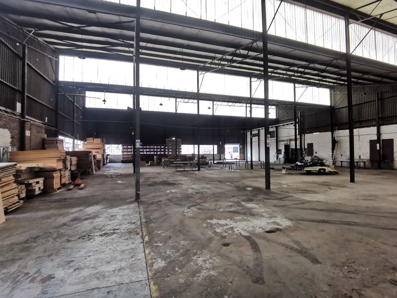 Exceptional Volume and Expansive Yard, Kew - Johannesburg - Photo 6