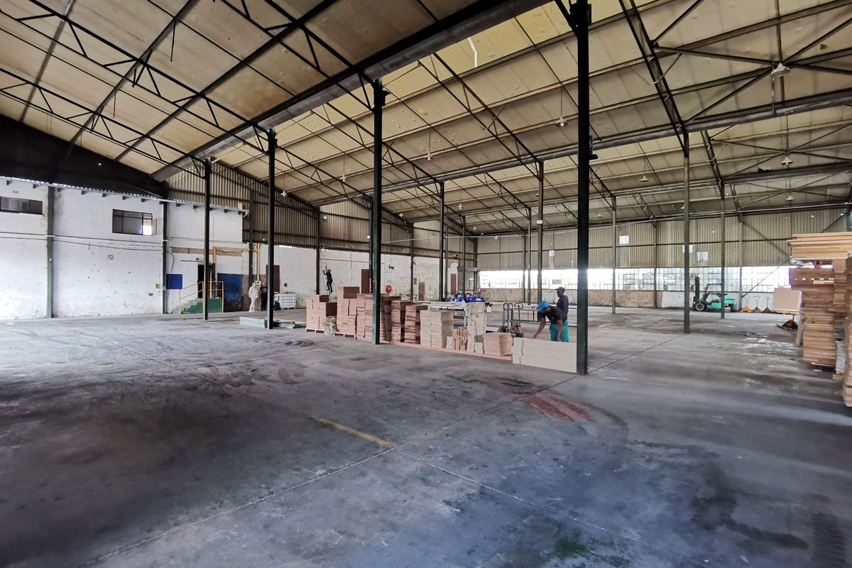 Exceptional Volume and Expansive Yard, Kew - Johannesburg - Photo 5