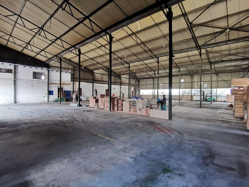 Exceptional Volume and Expansive Yard, Kew - Johannesburg - Photo 5