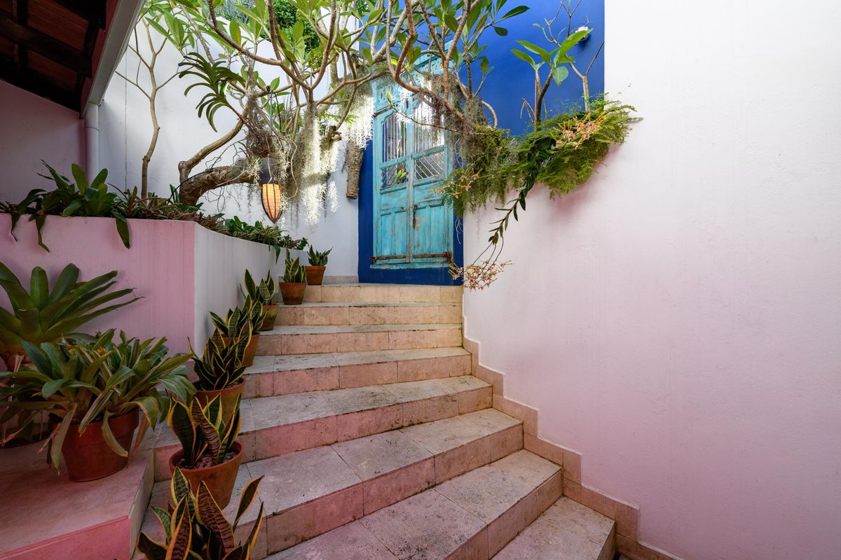 An inviting outdoor staircase featuring tiled steps leading to a vibrant blue entrance door, framed by white walls and lush greenery.