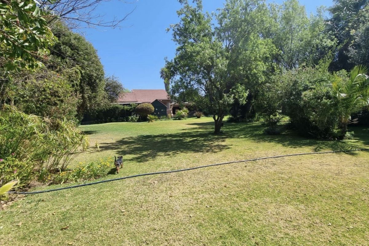 Opportunity of a lifetime! - Photo 4