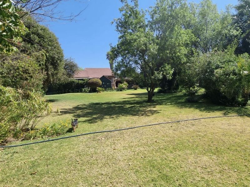 Opportunity of a lifetime! - Photo 4