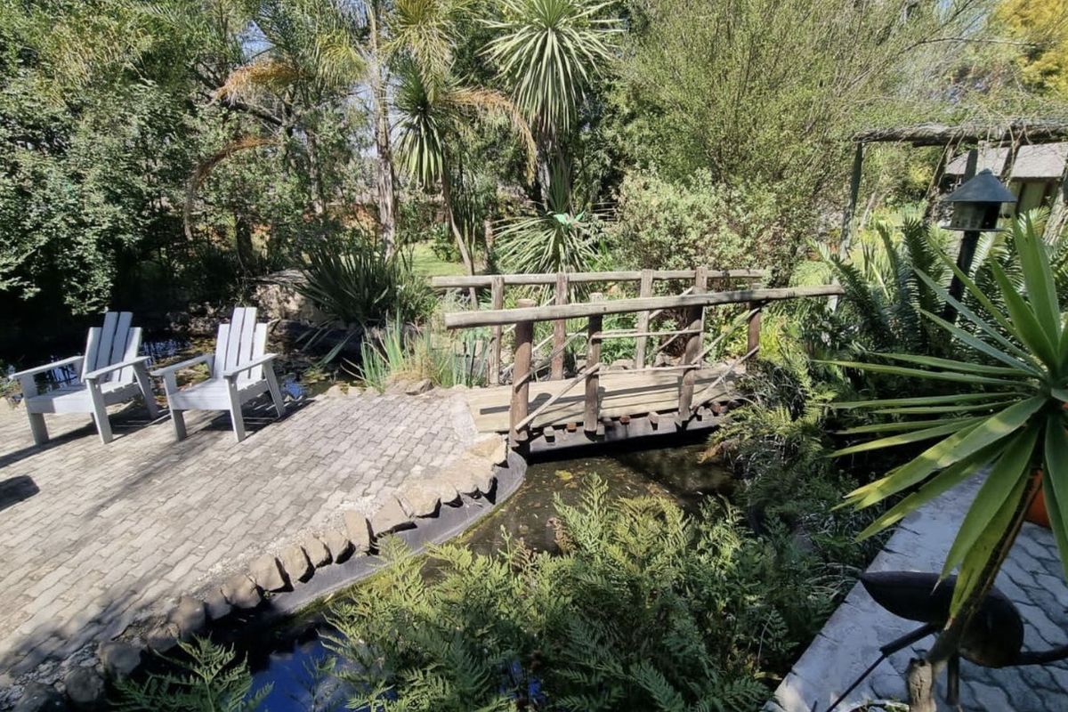 Opportunity of a lifetime! - Photo 3