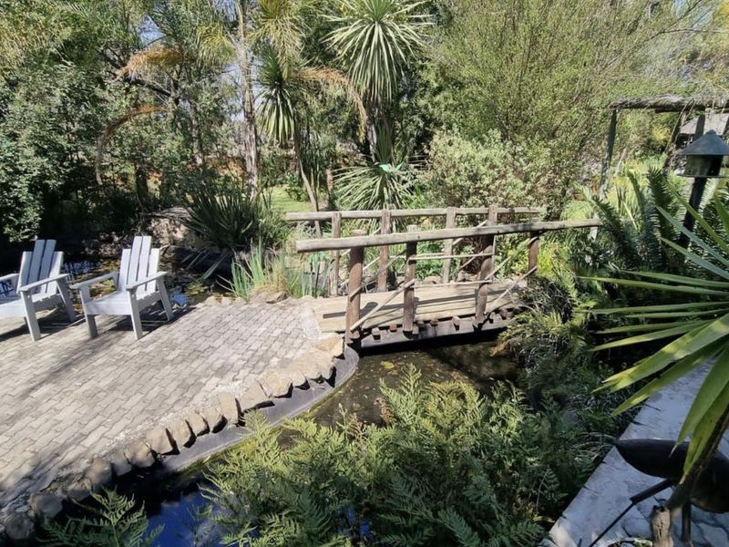 Opportunity of a lifetime! - Photo 3