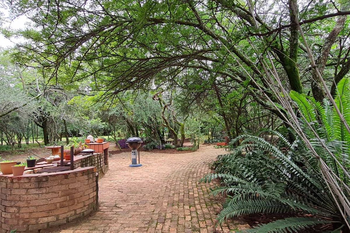 Serene Sanctuary! - Photo 3