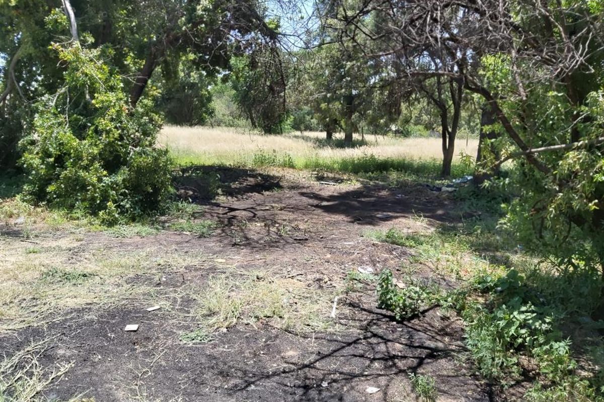 Prime Property on Sale on the R55 - Photo 3