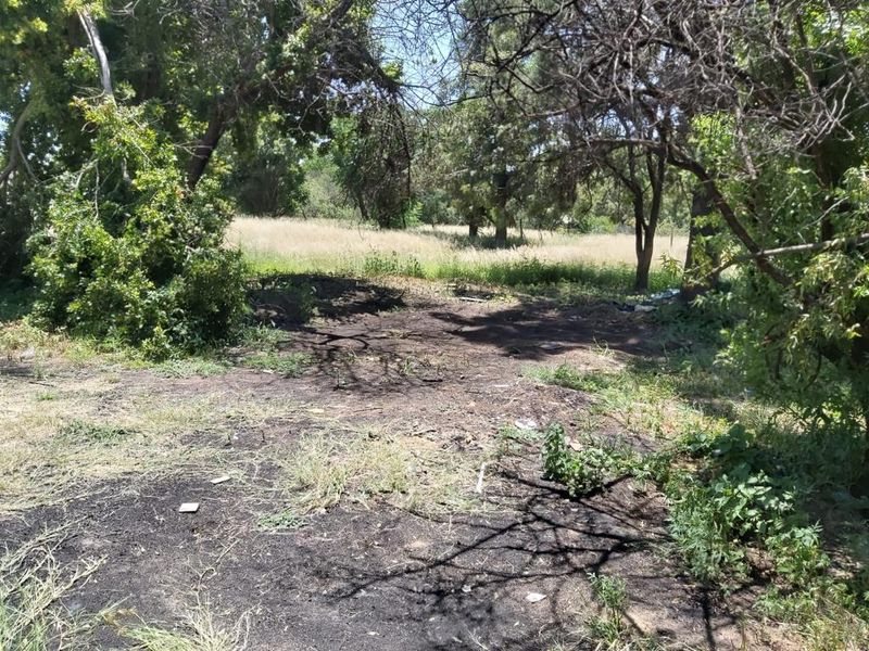 Prime Property on Sale on the R55 - Photo 3