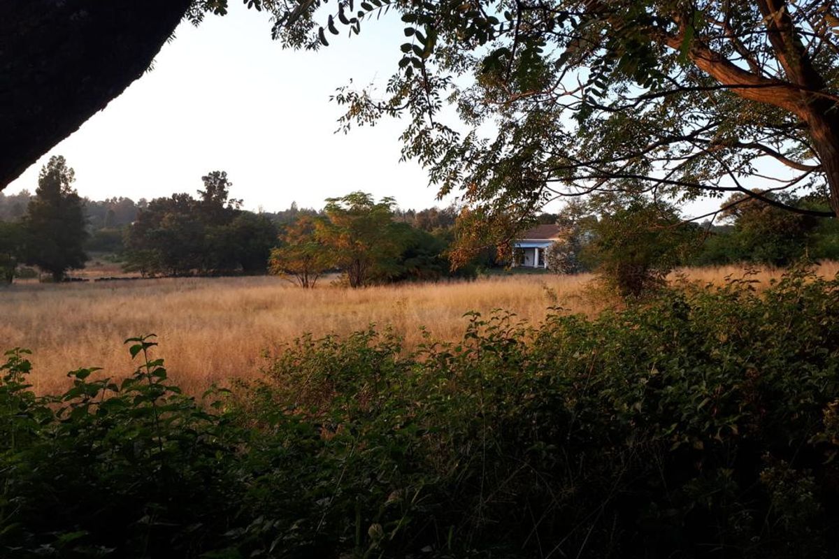 Prime Property on Sale on the R55 - Photo 5