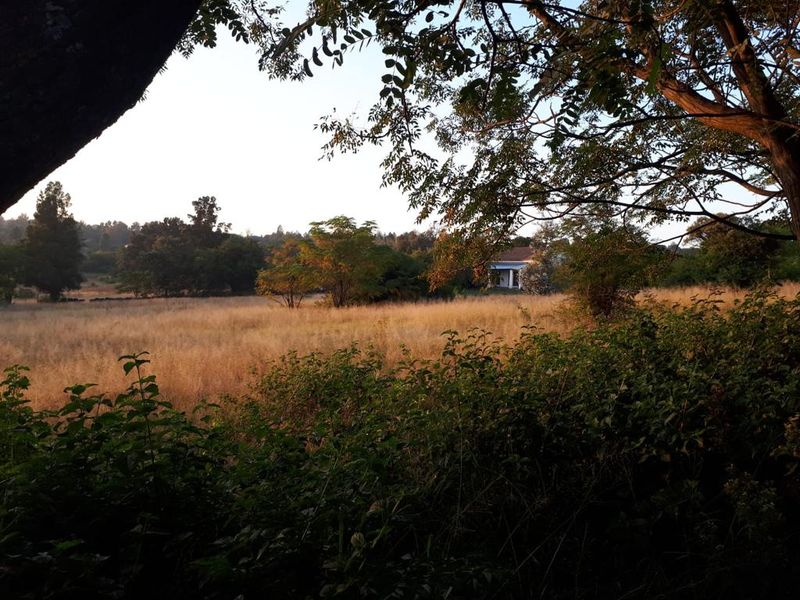 Prime Property on Sale on the R55 - Photo 5