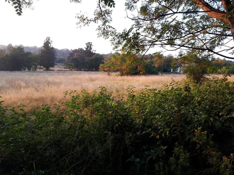 Prime Property on Sale on the R55 - Photo 9