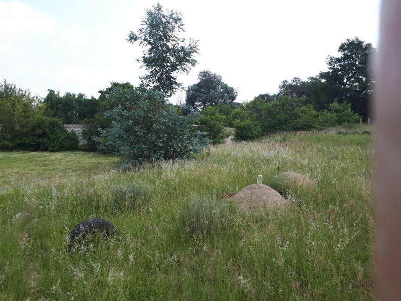 Prime Property on Sale on the R55 - Photo 7