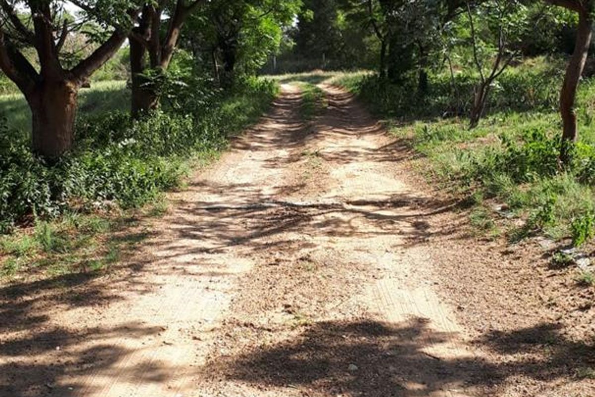 Prime Property on Sale on the R55 - Photo 4