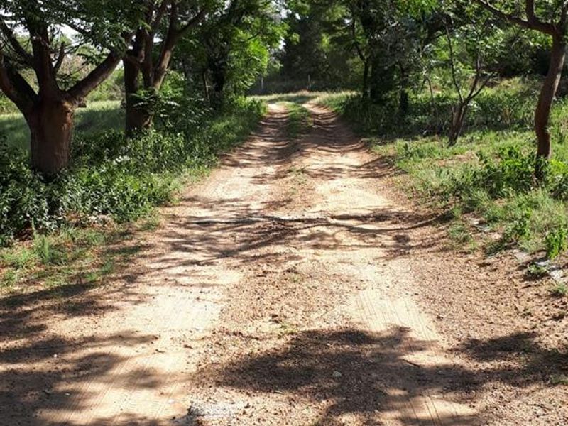 Prime Property on Sale on the R55 - Photo 4