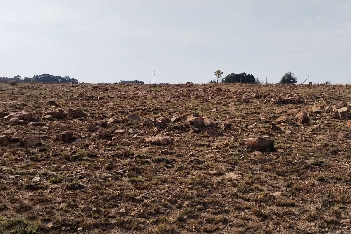 Invest in a promising smallholding at Walkerville Manor - Photo 4