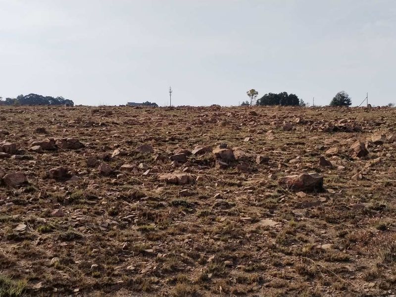 Invest in a promising smallholding at Walkerville Manor - Photo 4