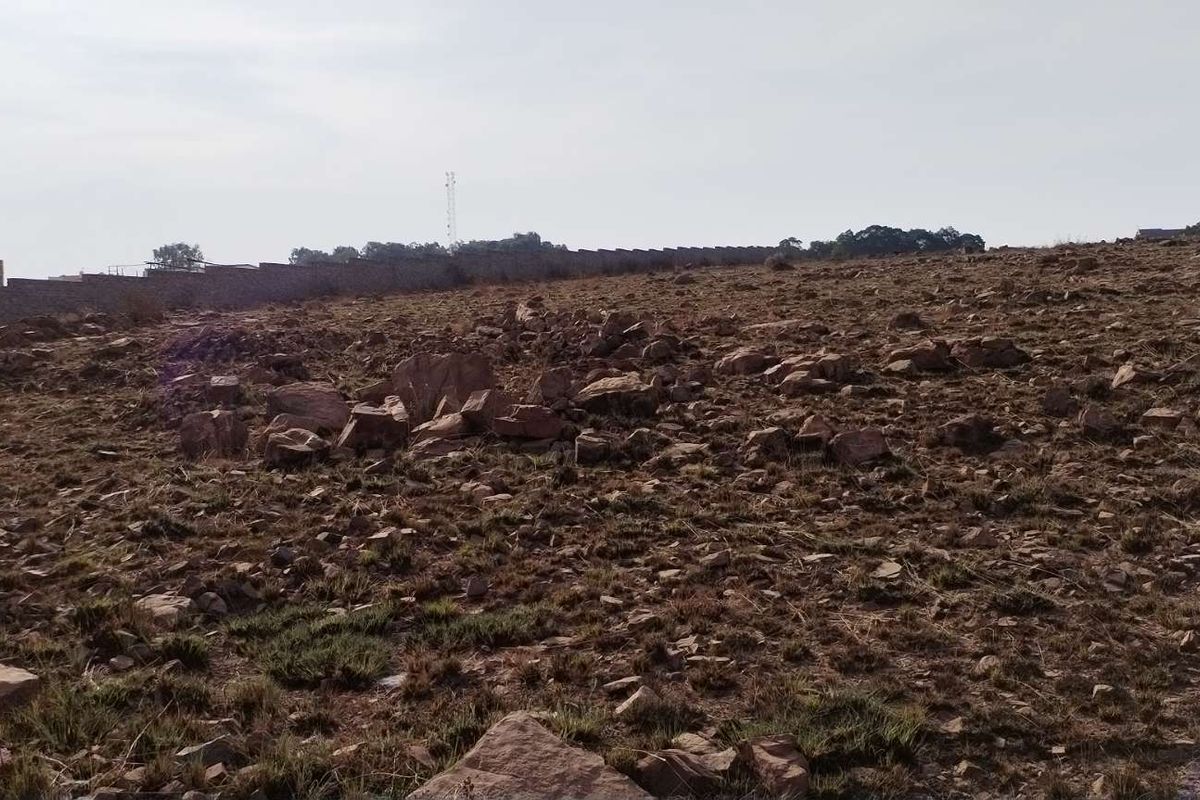 Invest in a promising smallholding at Walkerville Manor - Photo 3