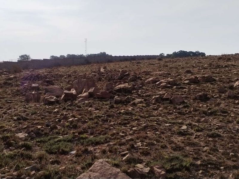 Invest in a promising smallholding at Walkerville Manor - Photo 3