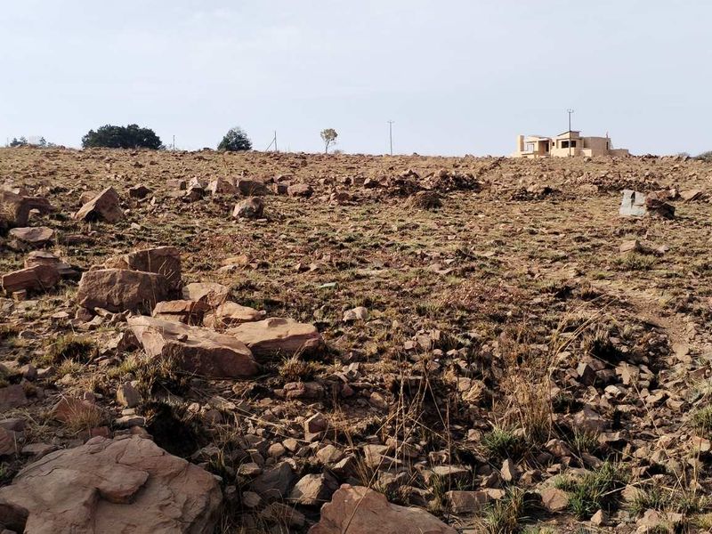 Invest in a promising smallholding at Walkerville Manor - Photo 8