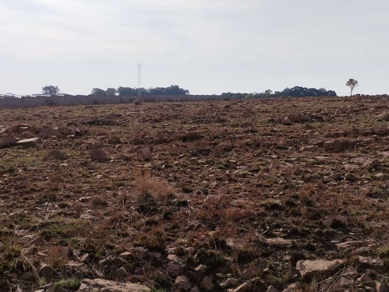 Invest in a promising smallholding at Walkerville Manor - Photo 7