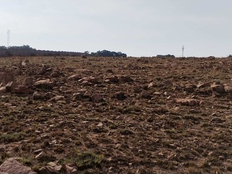 Invest in a promising smallholding at Walkerville Manor - Photo 2