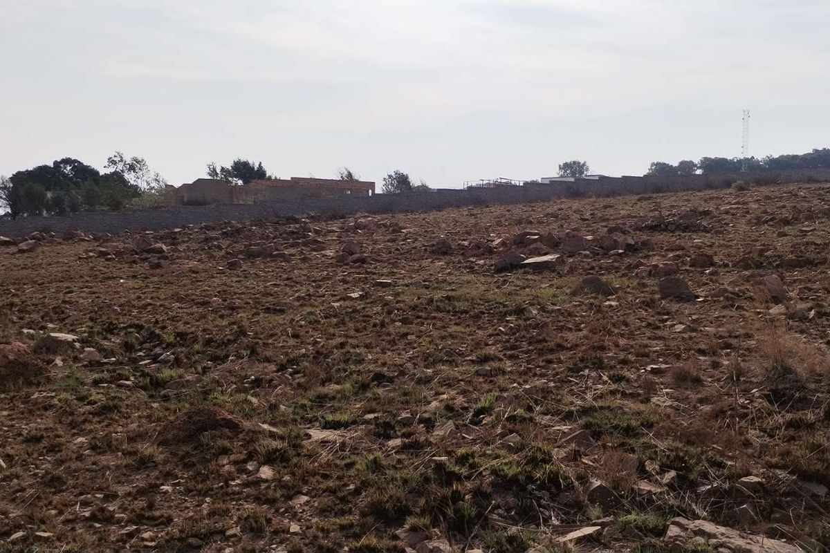 Invest in a promising smallholding at Walkerville Manor - Photo 5